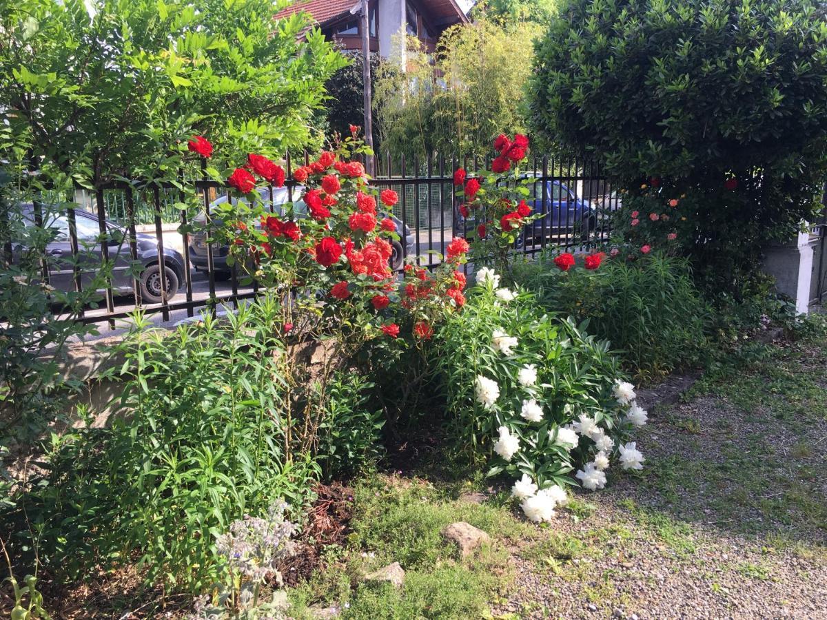 Le Catalpa - Centre Ville, Jardin & Parking! Annecy Exterior photo